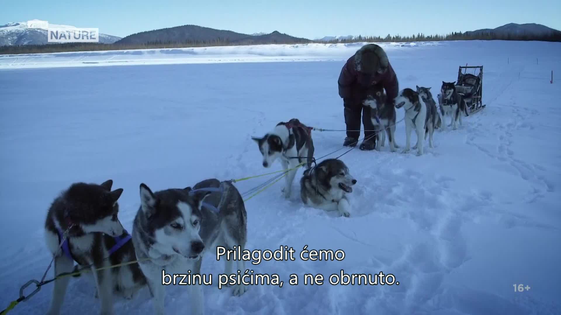 ViasatNature