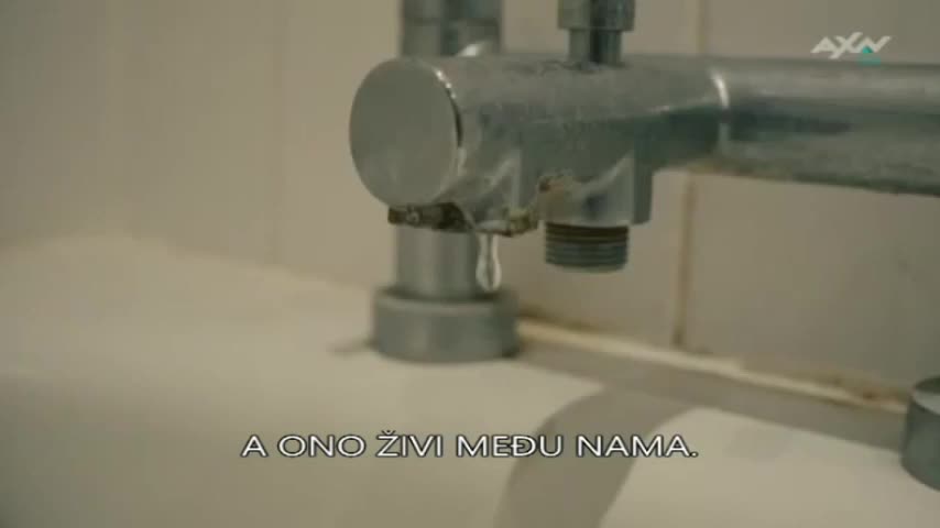 AXNSpin