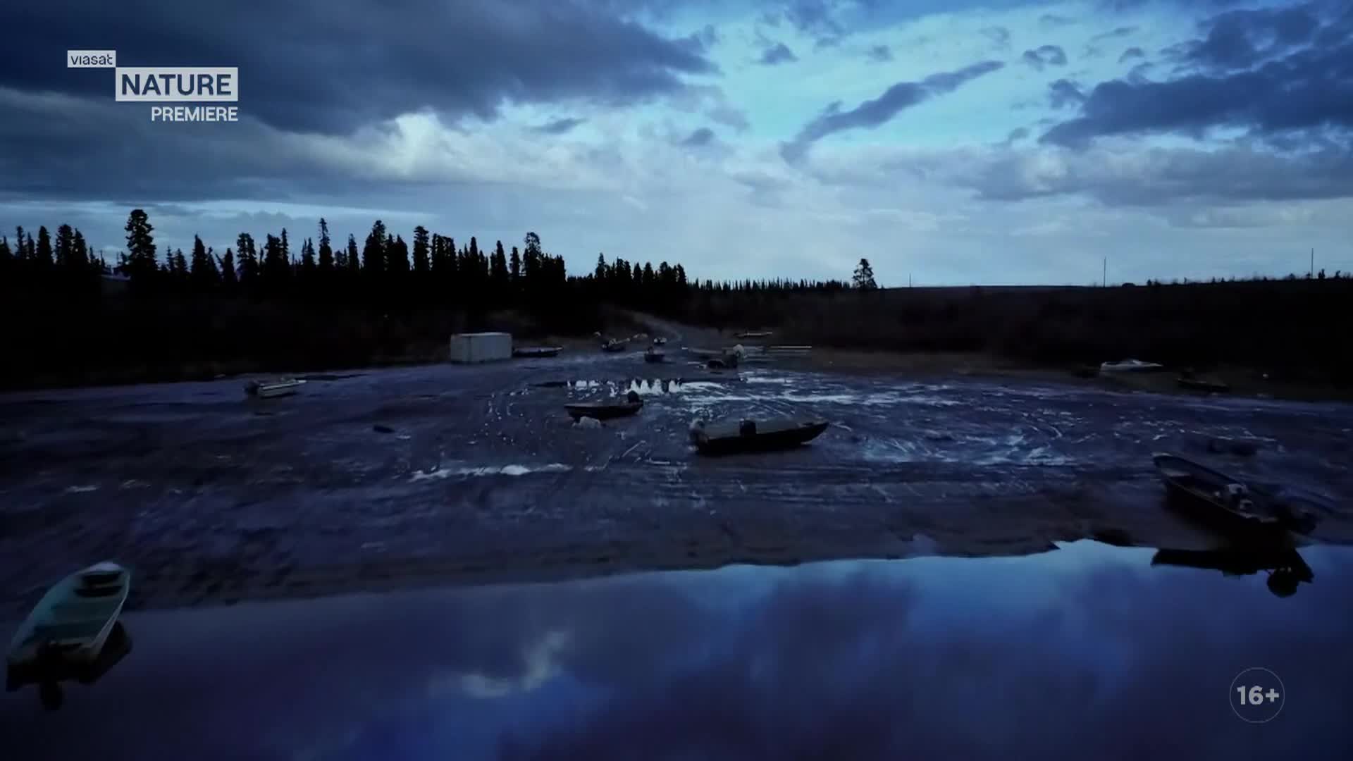 ViasatNature