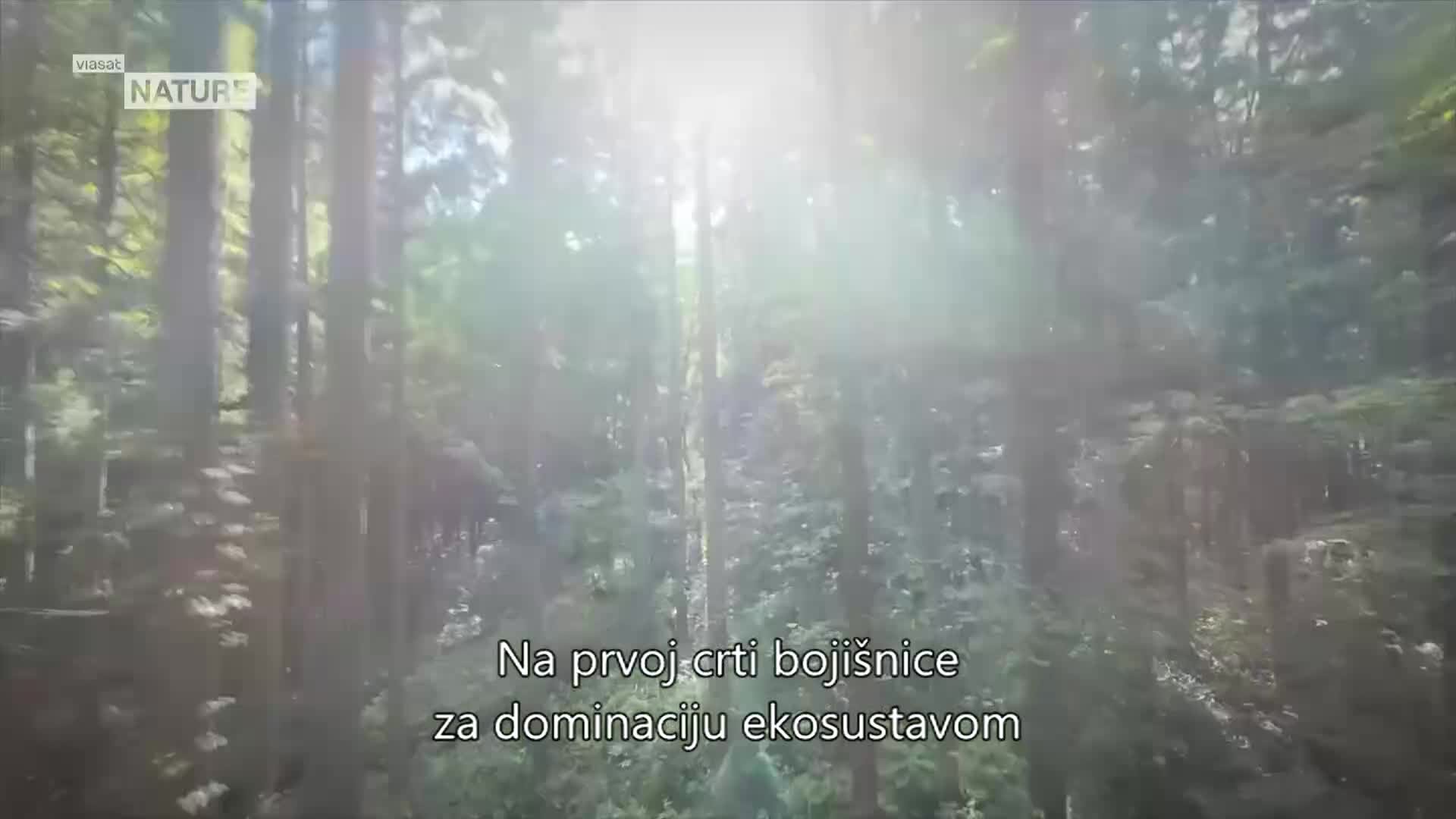 ViasatNature