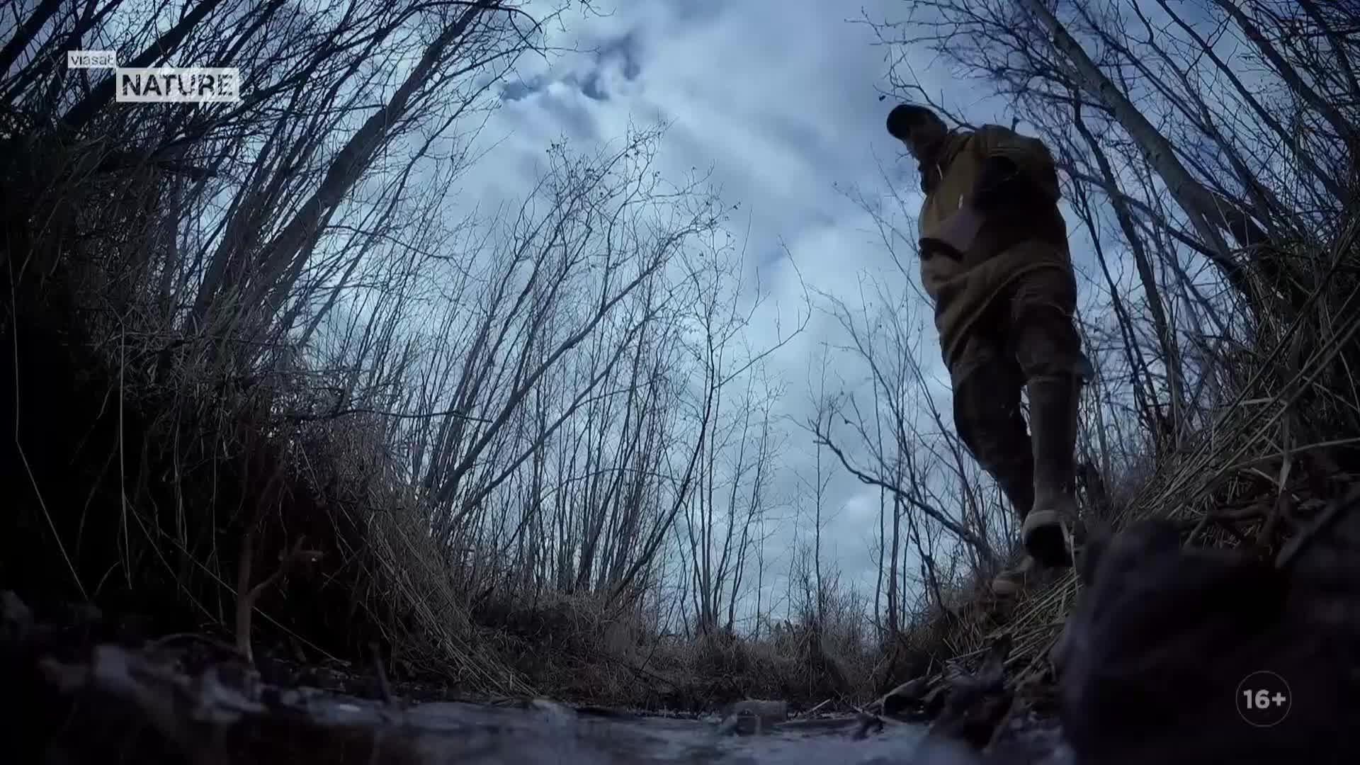 ViasatNature