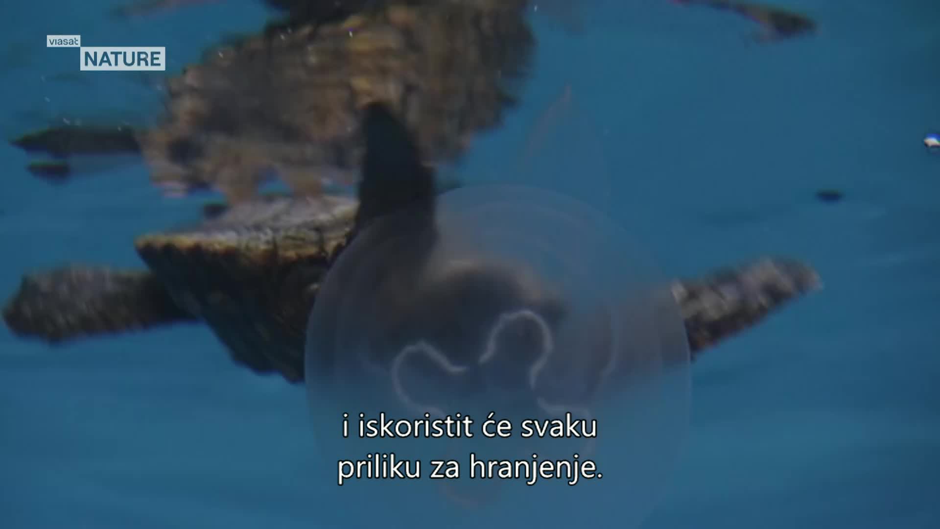 ViasatNature