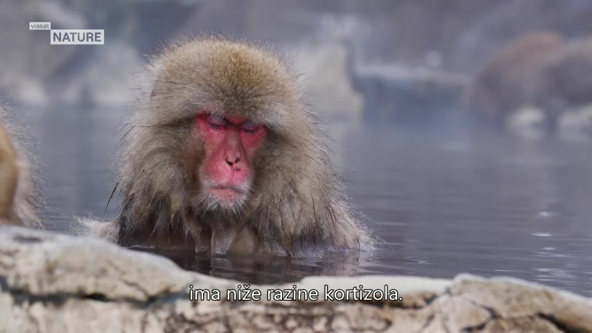 ViasatNature