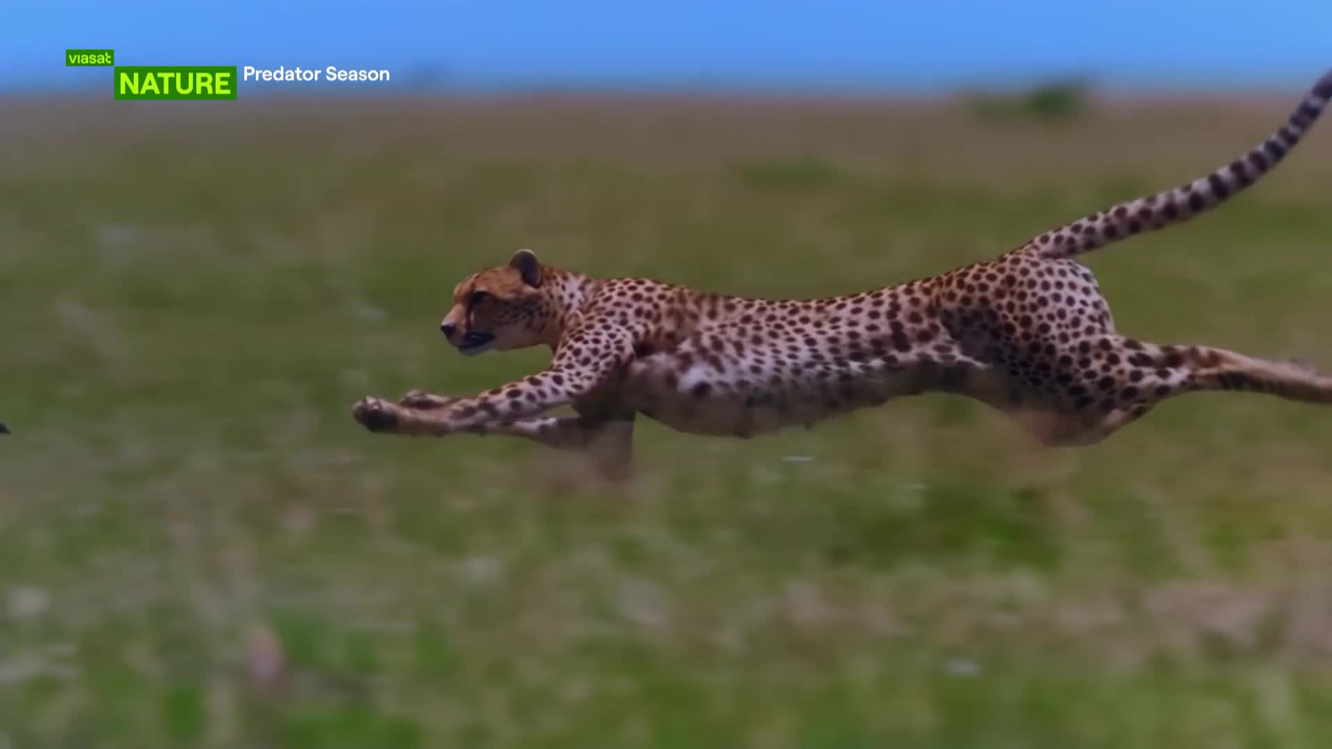 ViasatNature