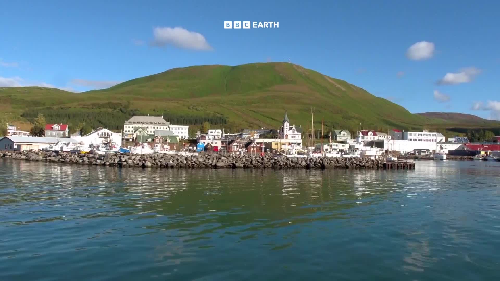 BBCEarth
