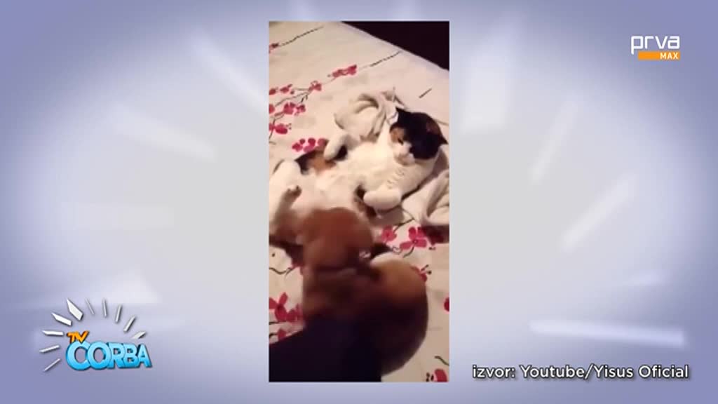 PrvaMax