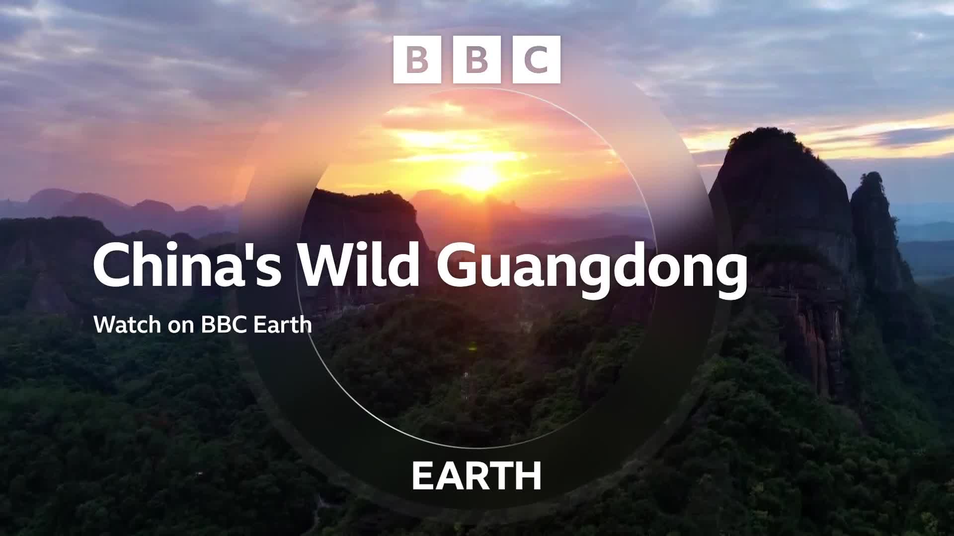 BBCEarth