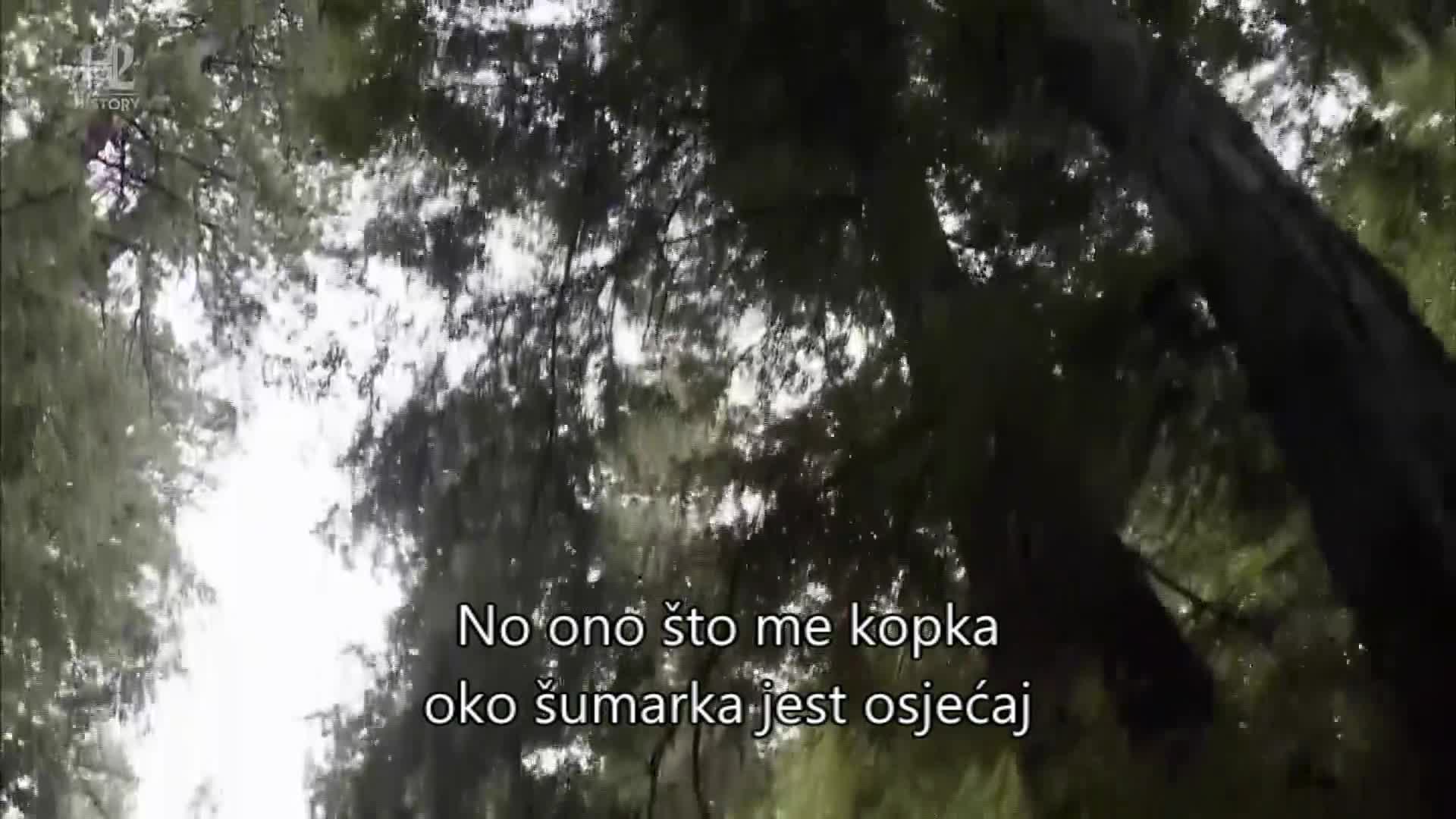 History2
