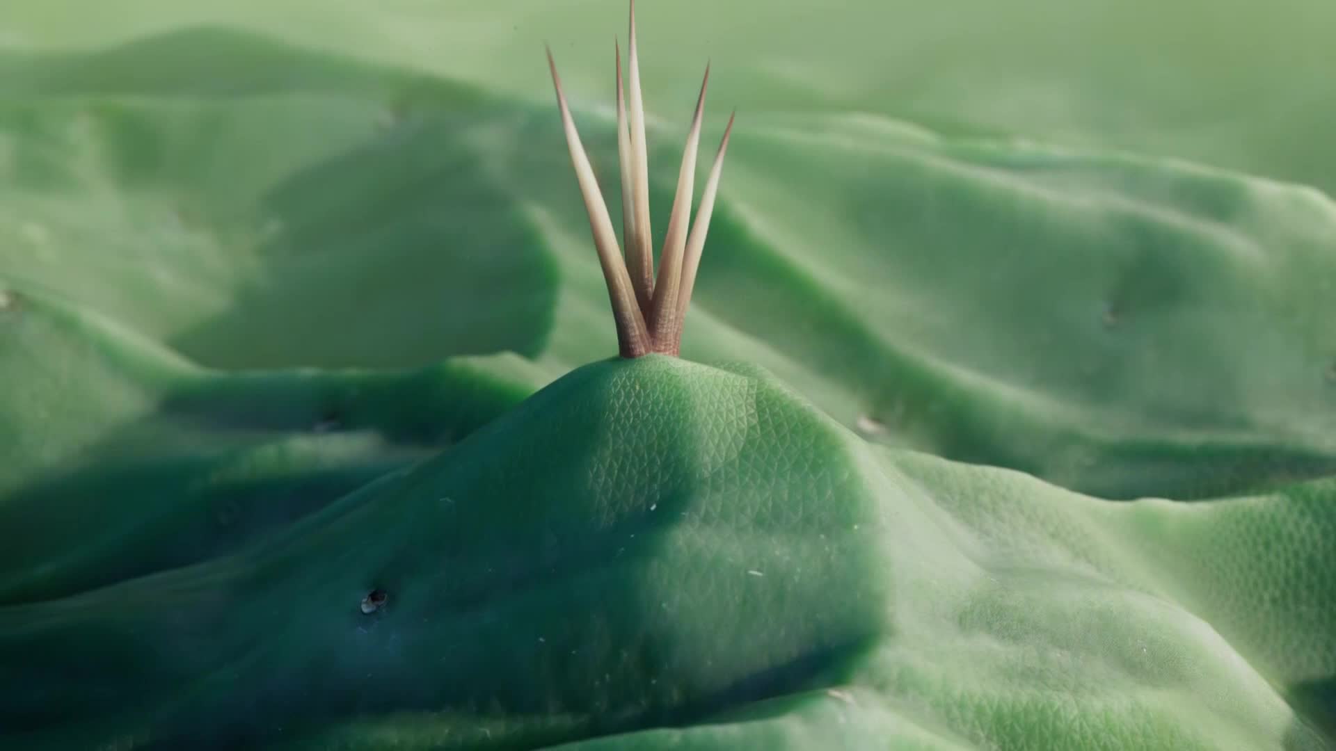 ViasatNature