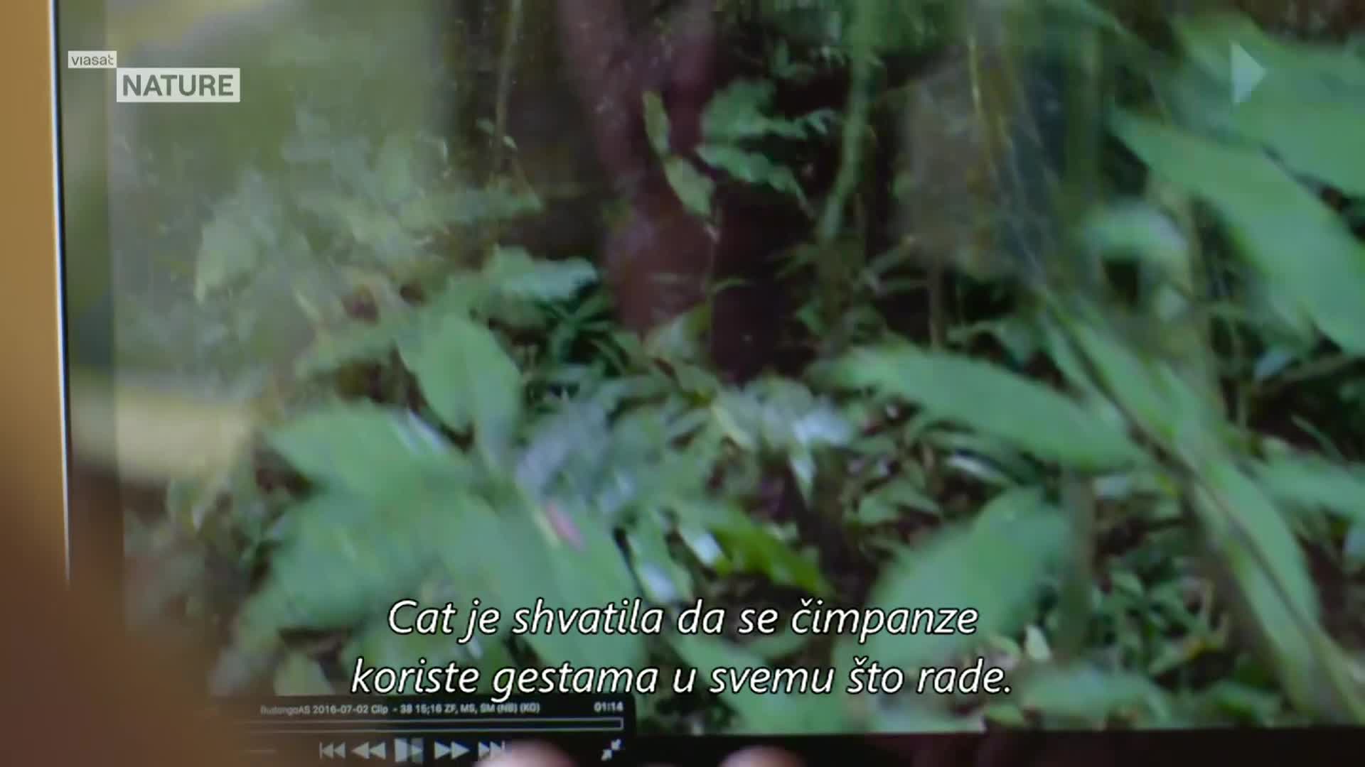 ViasatNature