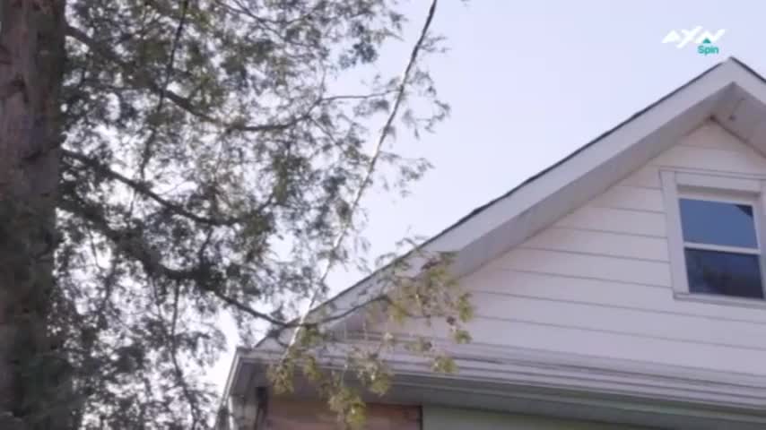 AXNSpin