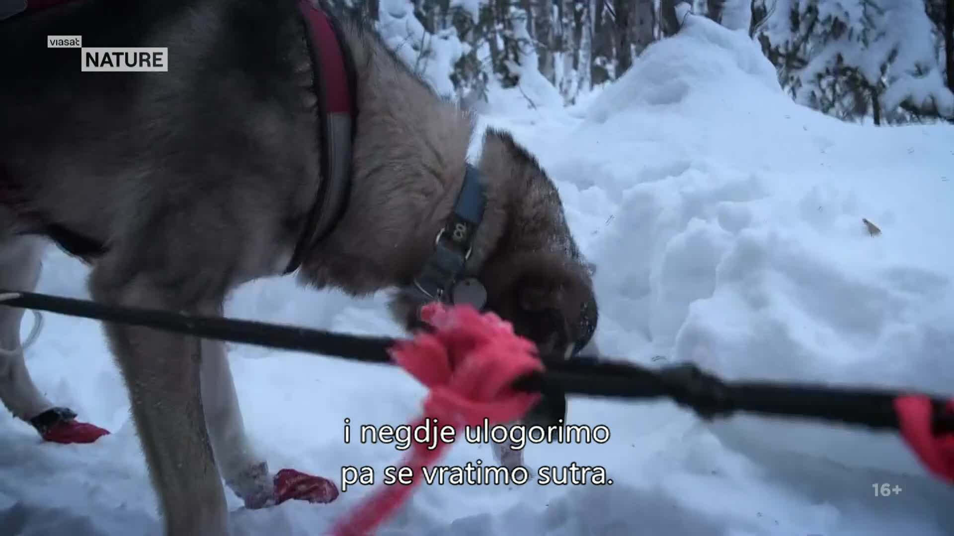 ViasatNature