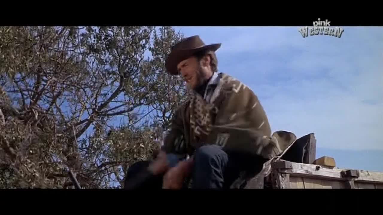 PinkWestern