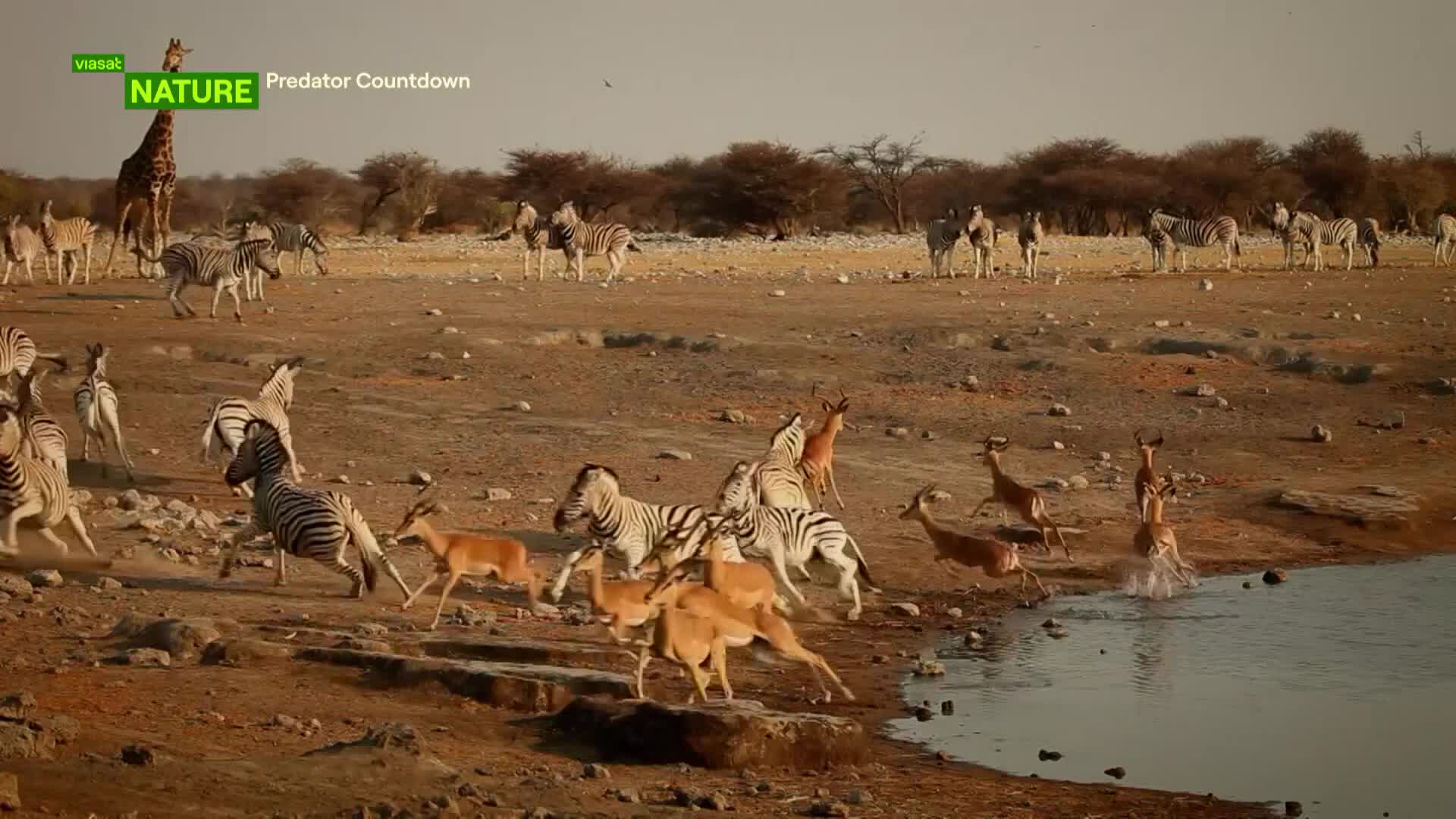ViasatNature