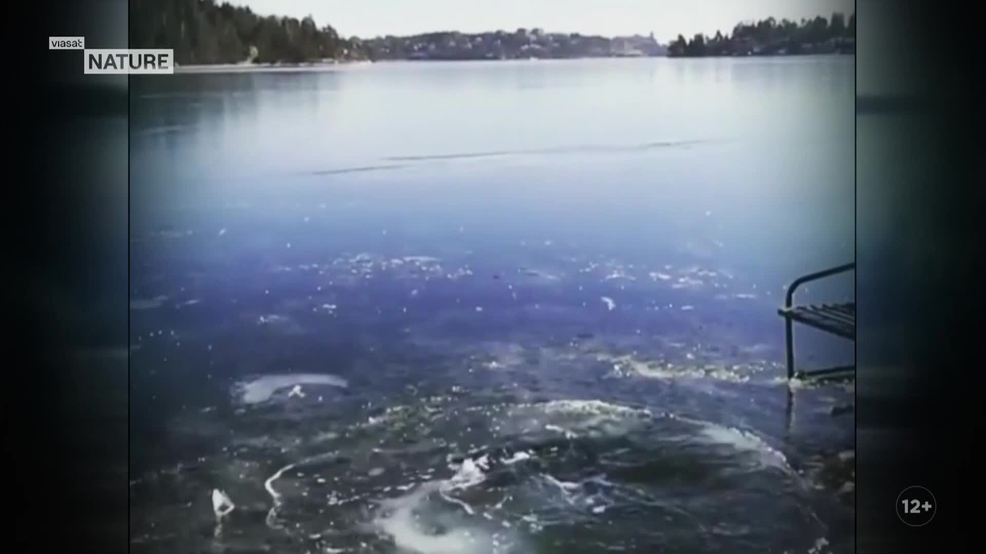ViasatNature