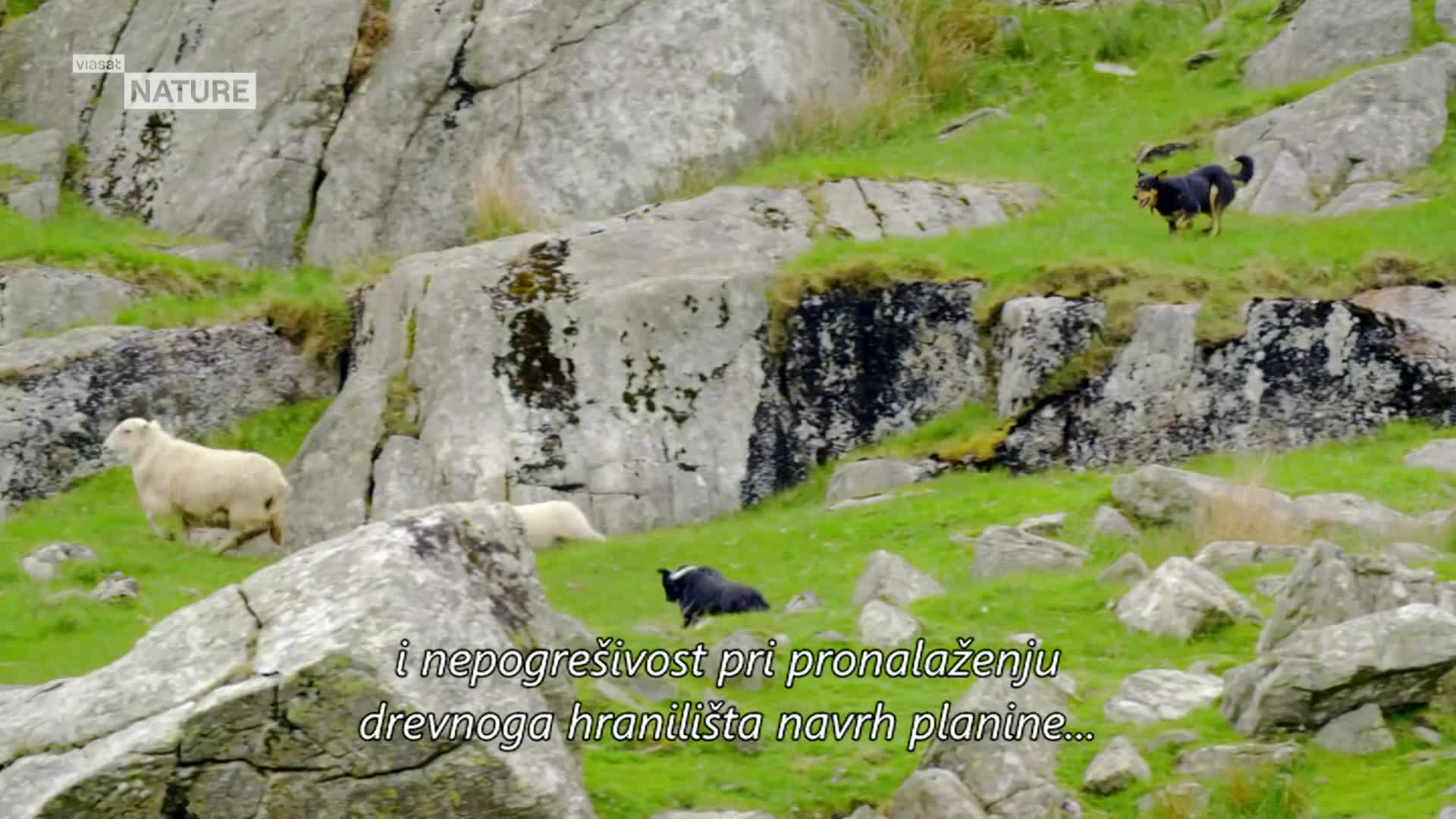 ViasatNature