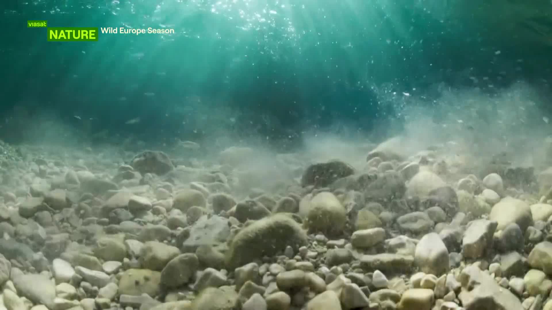 ViasatNature