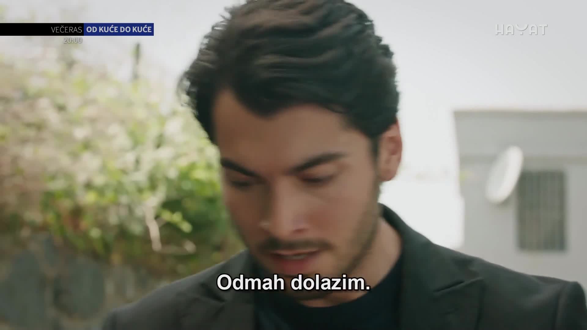 hayat