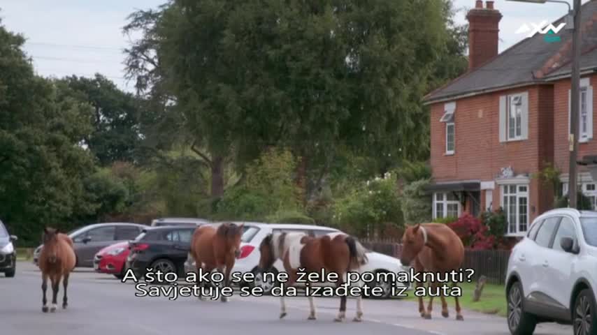 AXNSpin