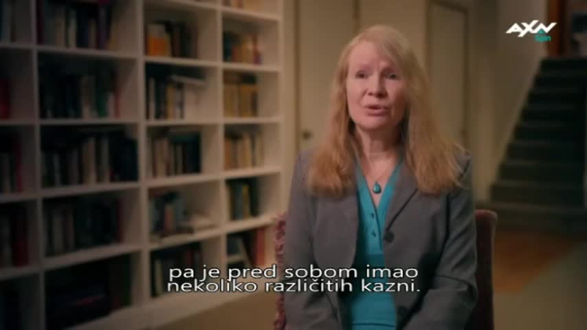 AXNSpin