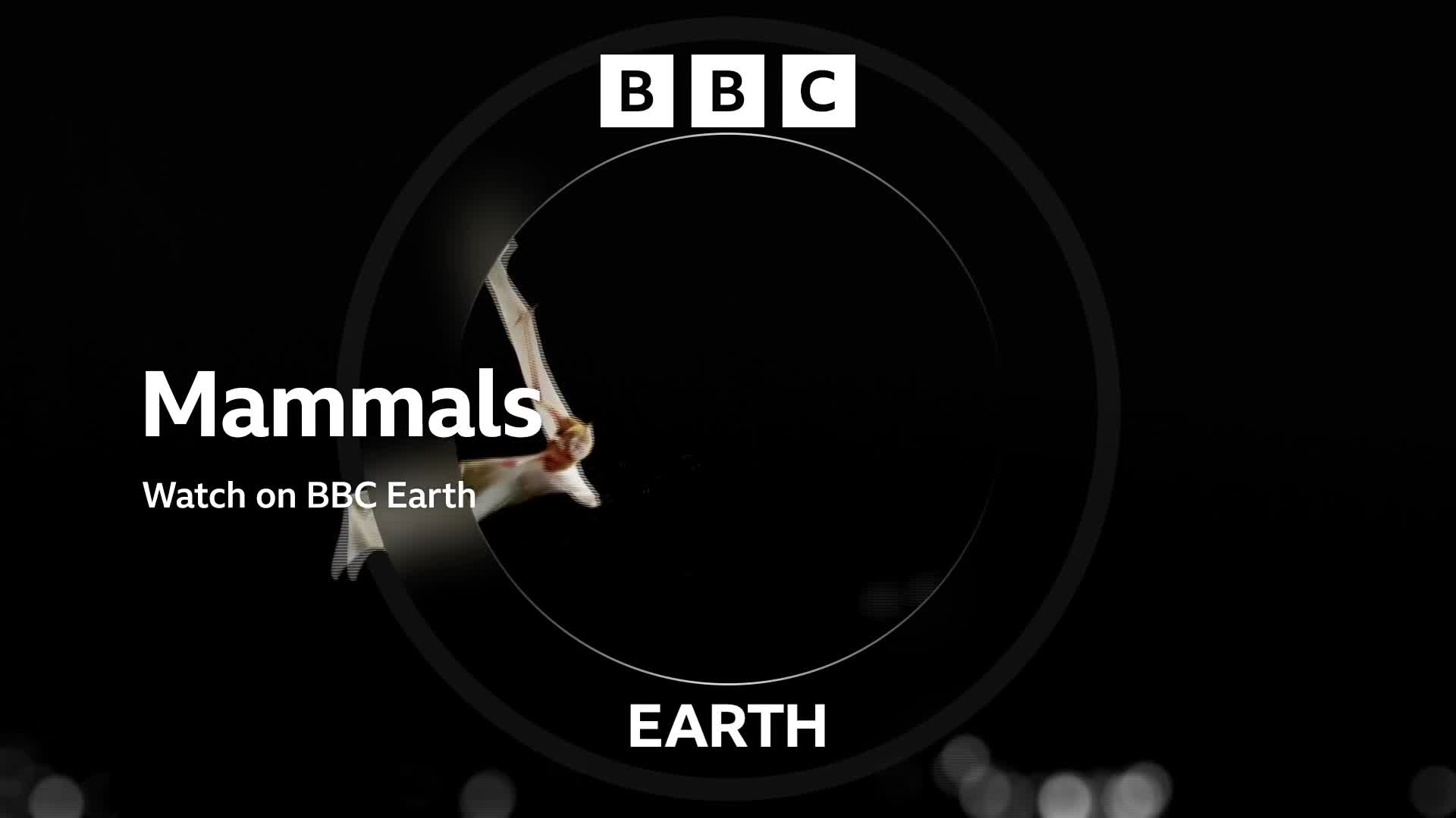 BBCEarth