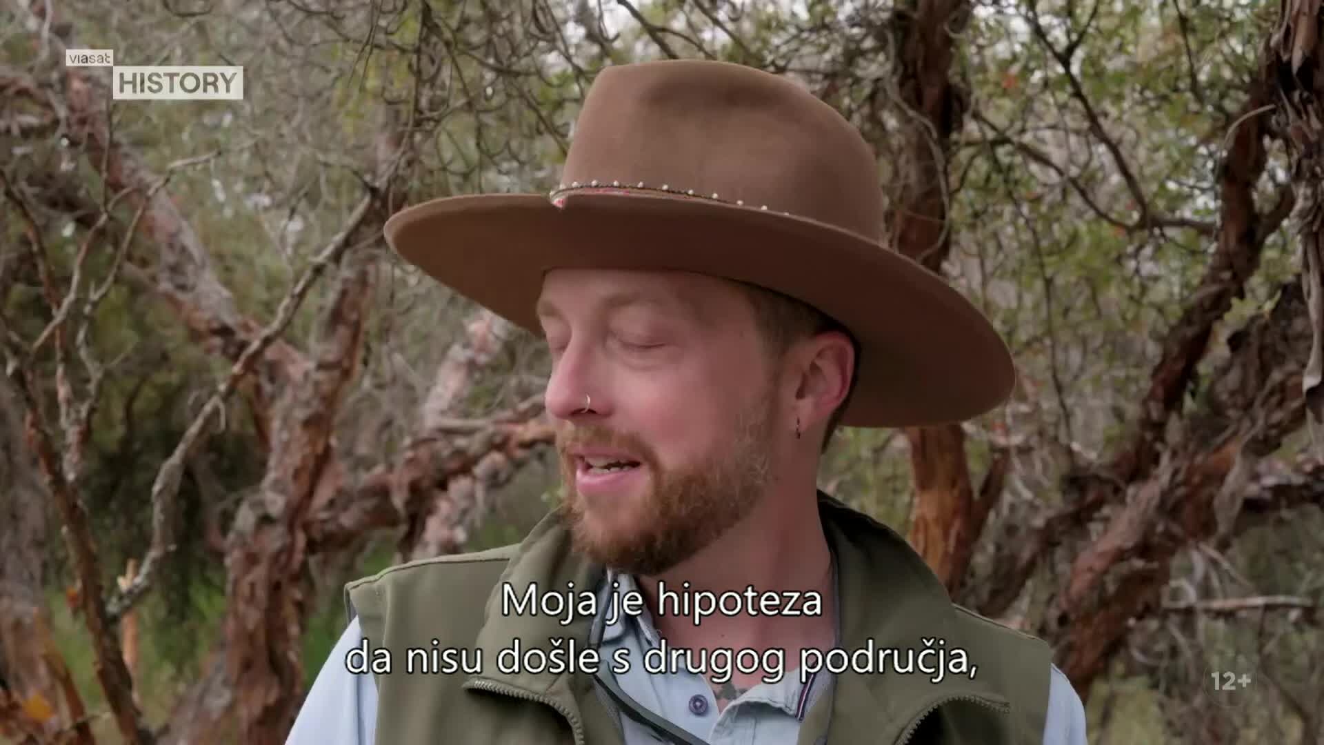 ViasatHistory