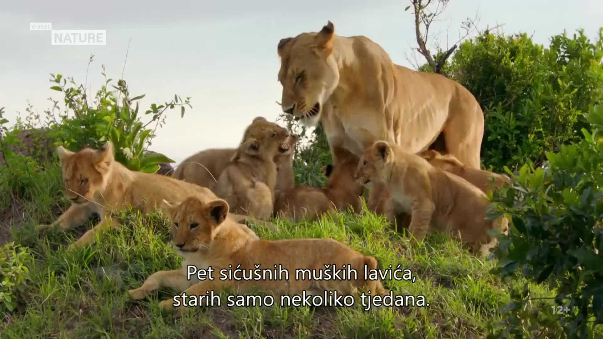 ViasatNature