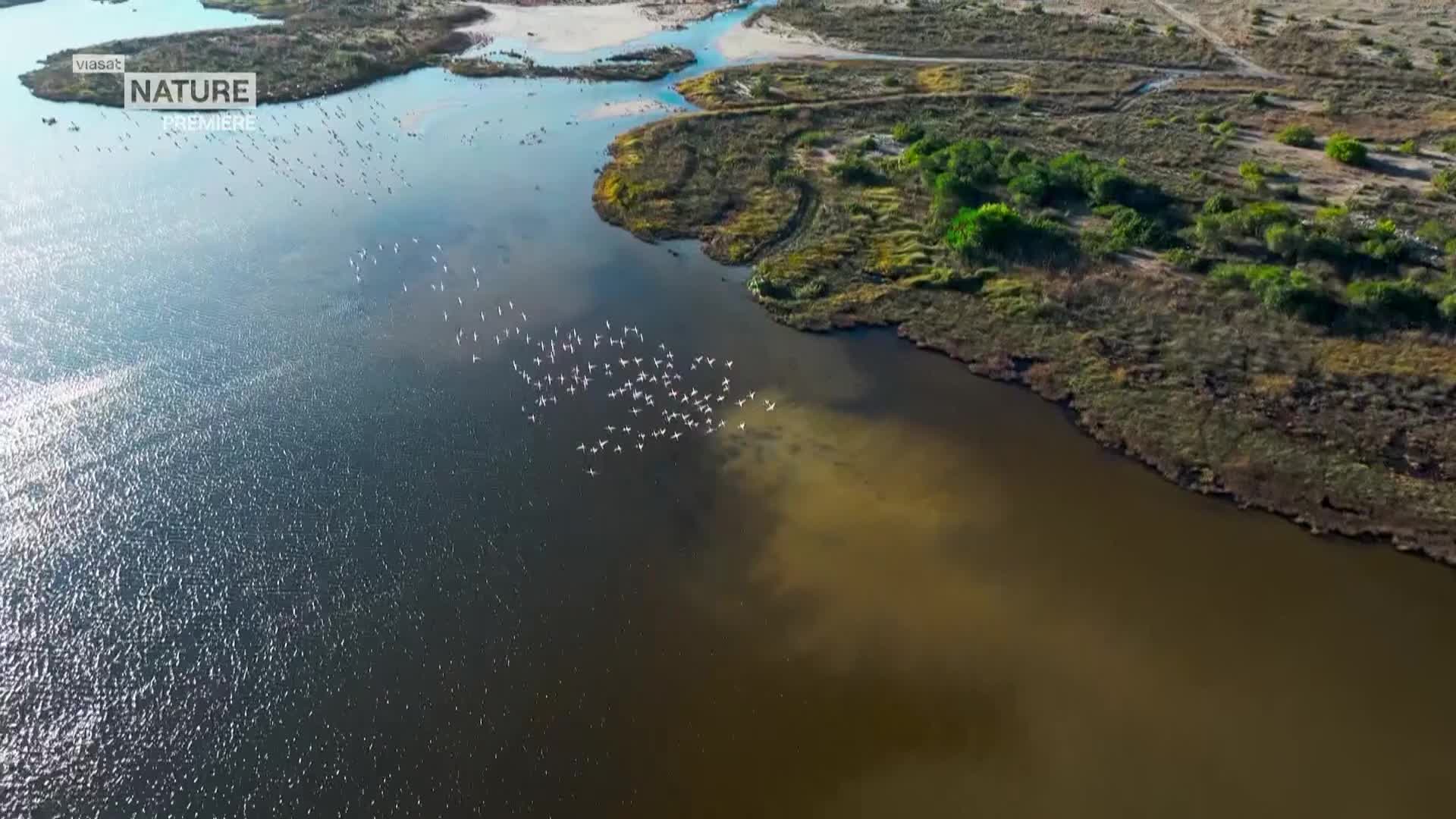 ViasatNature