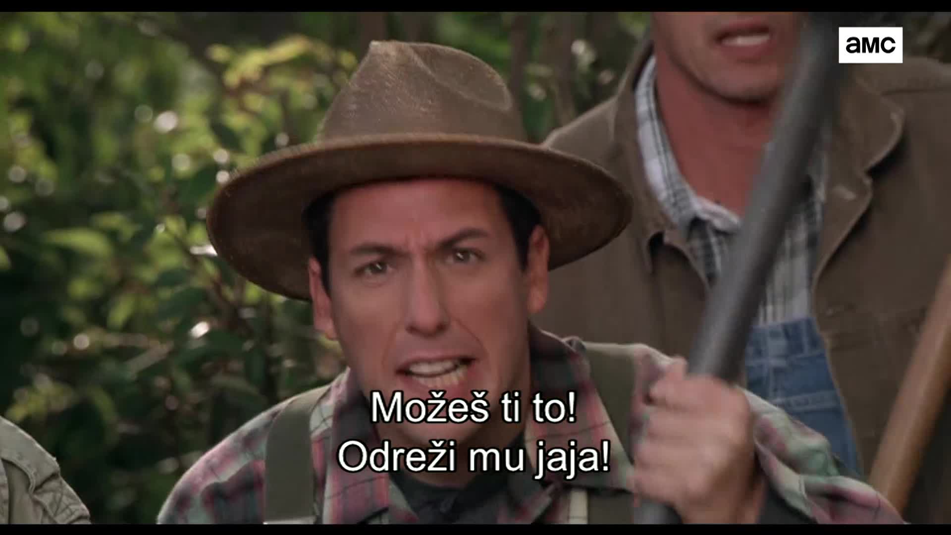 AMCHD