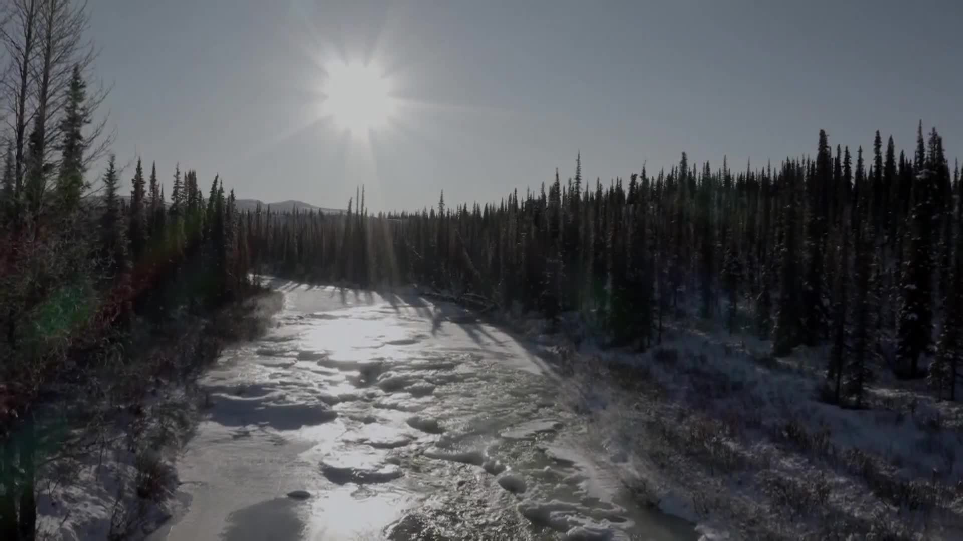 BBCEarth
