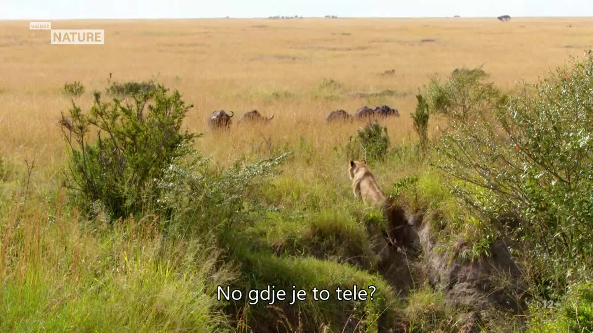 ViasatNature