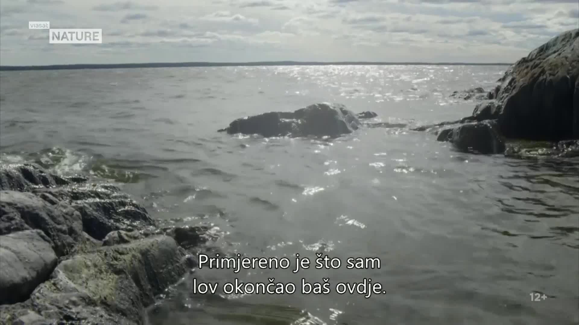 ViasatNature