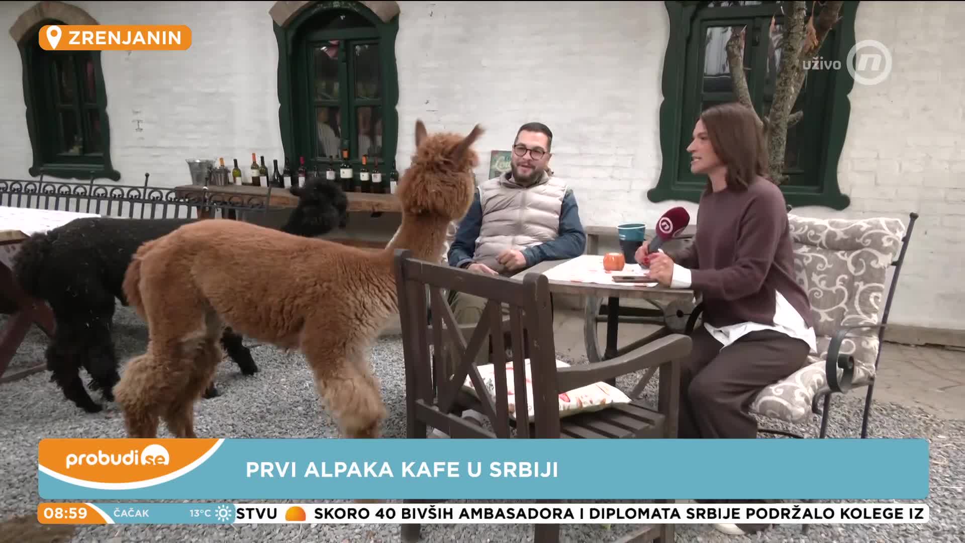 TOPhd