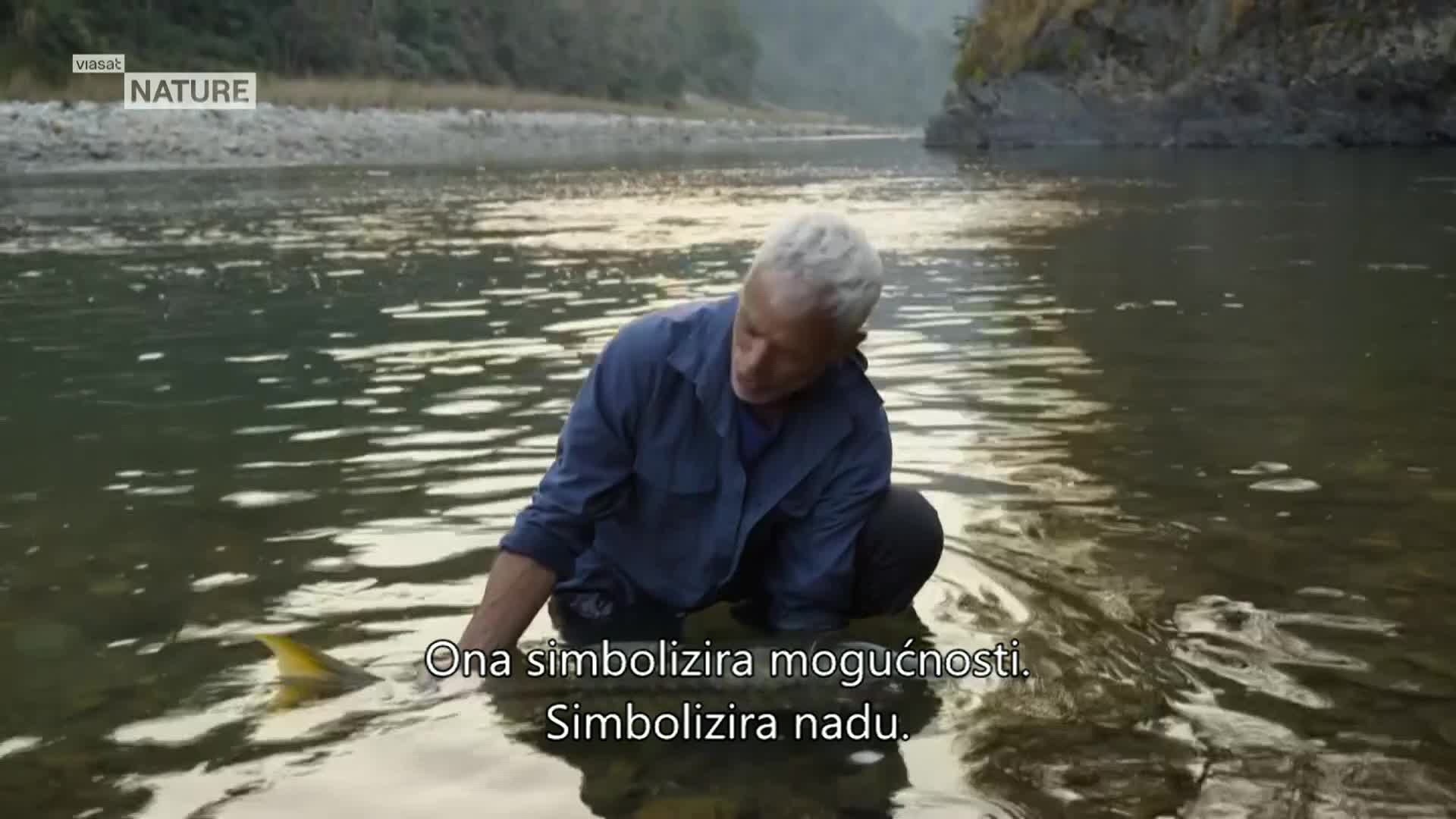 ViasatNature