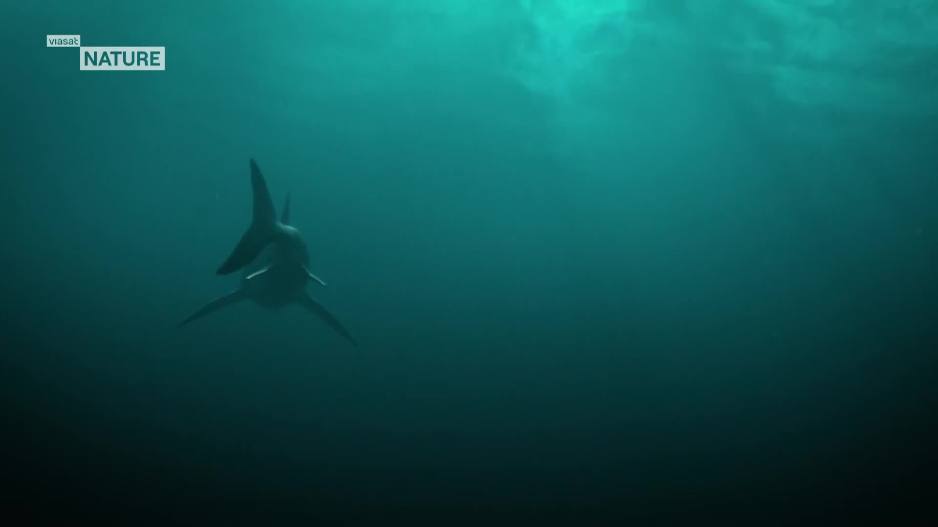 ViasatNature