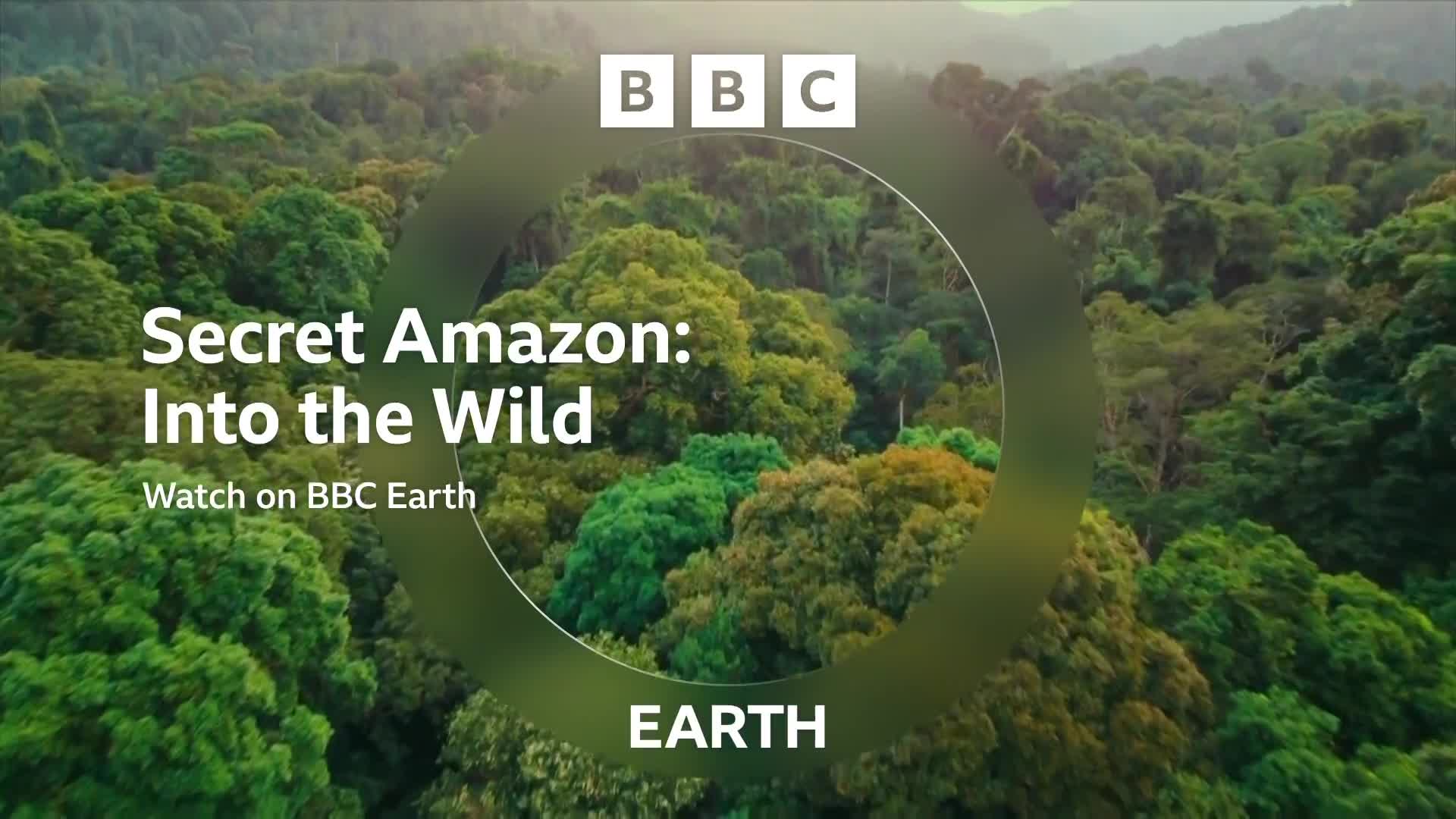 BBCEarth