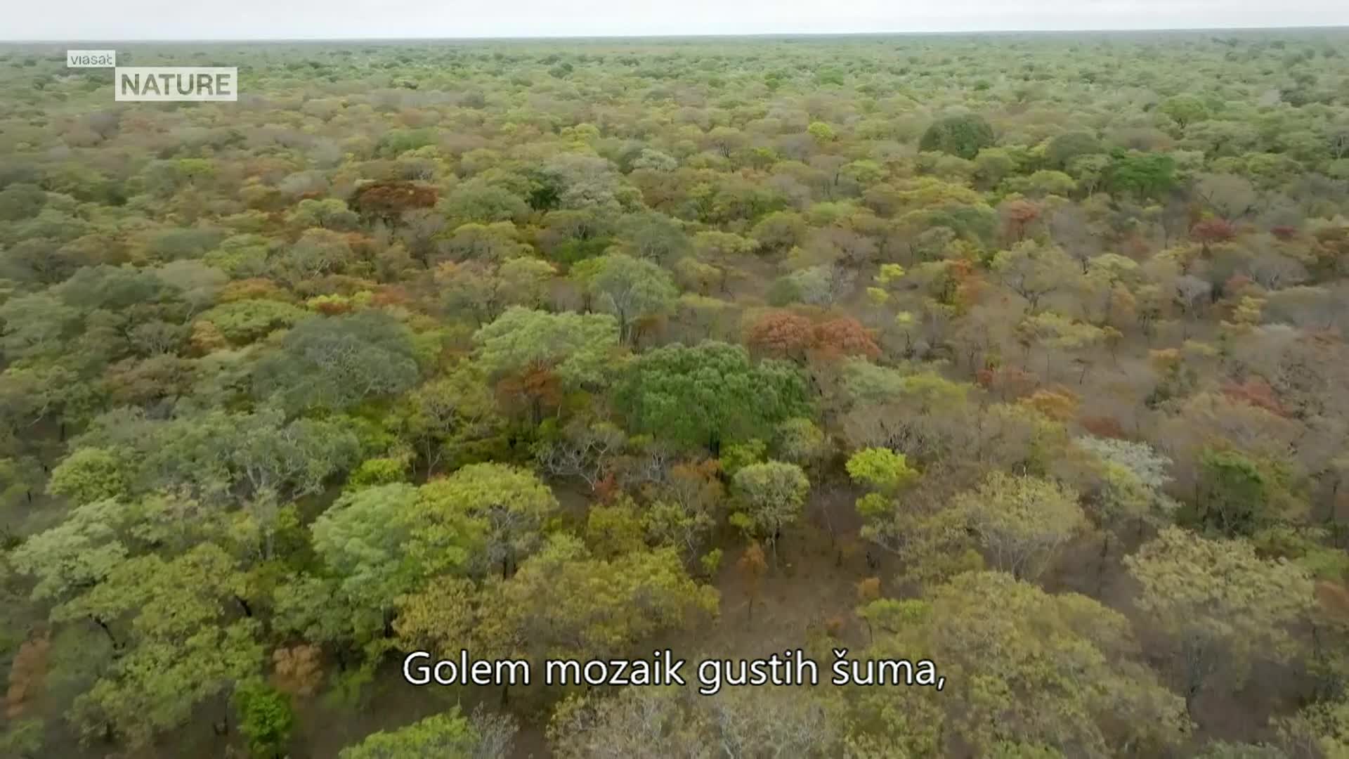ViasatNature
