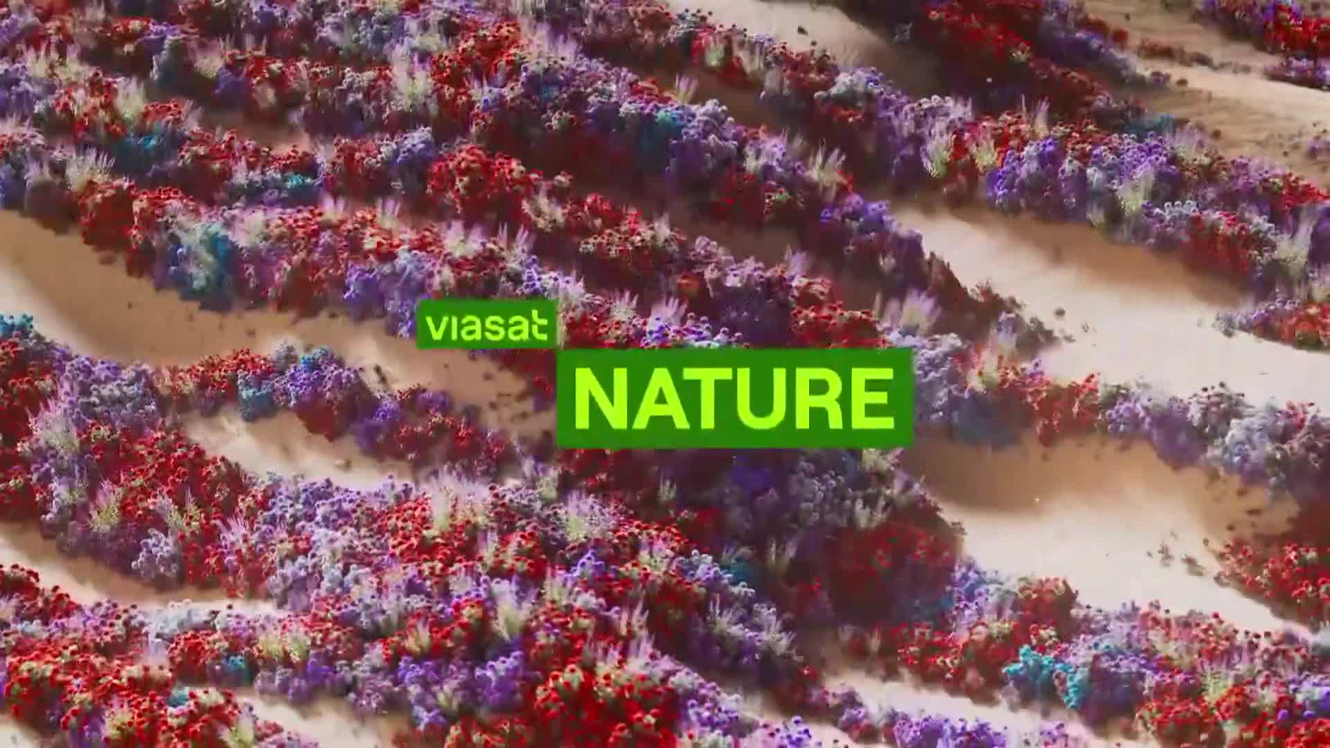 ViasatNature