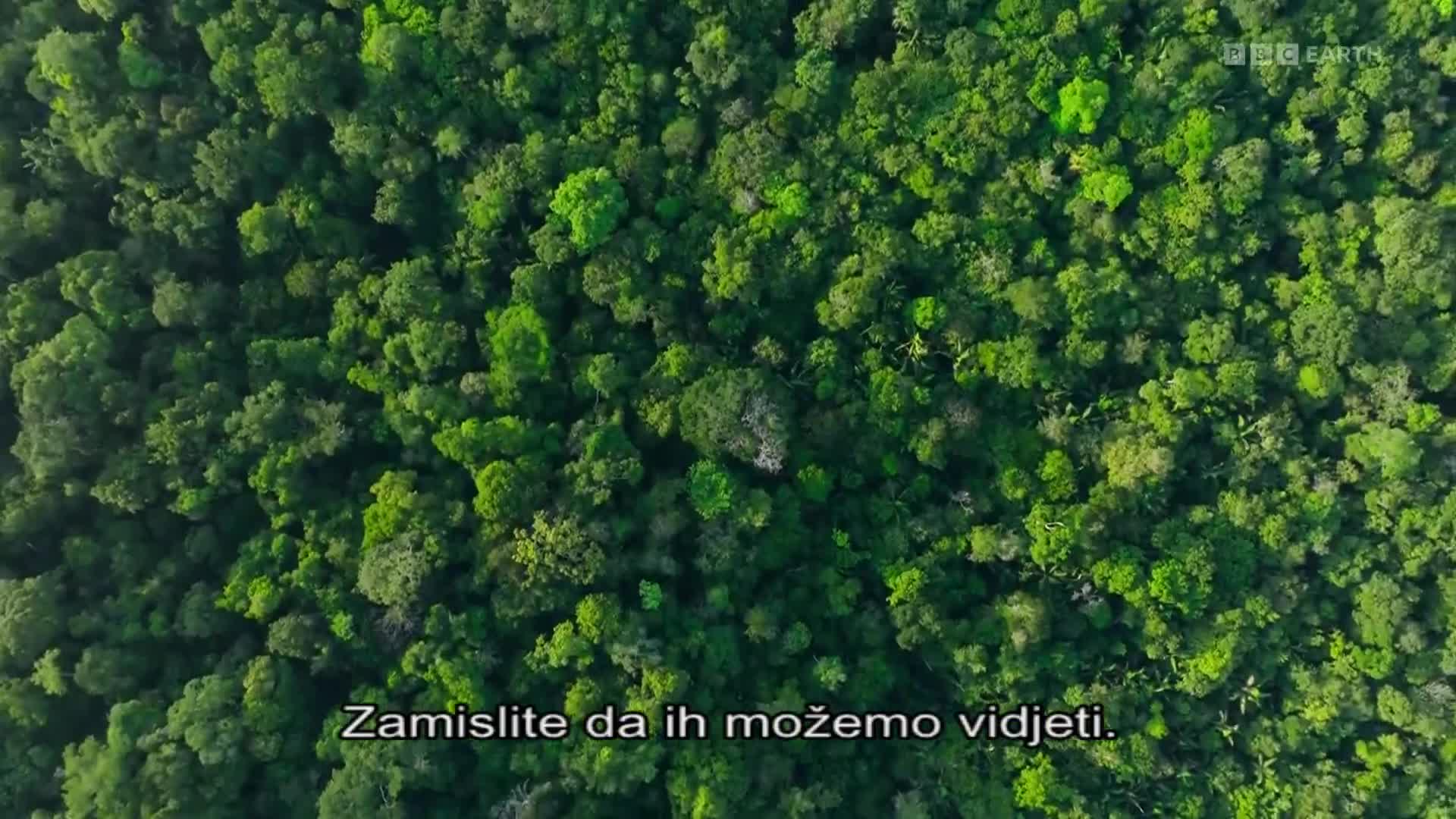 BBCEarth