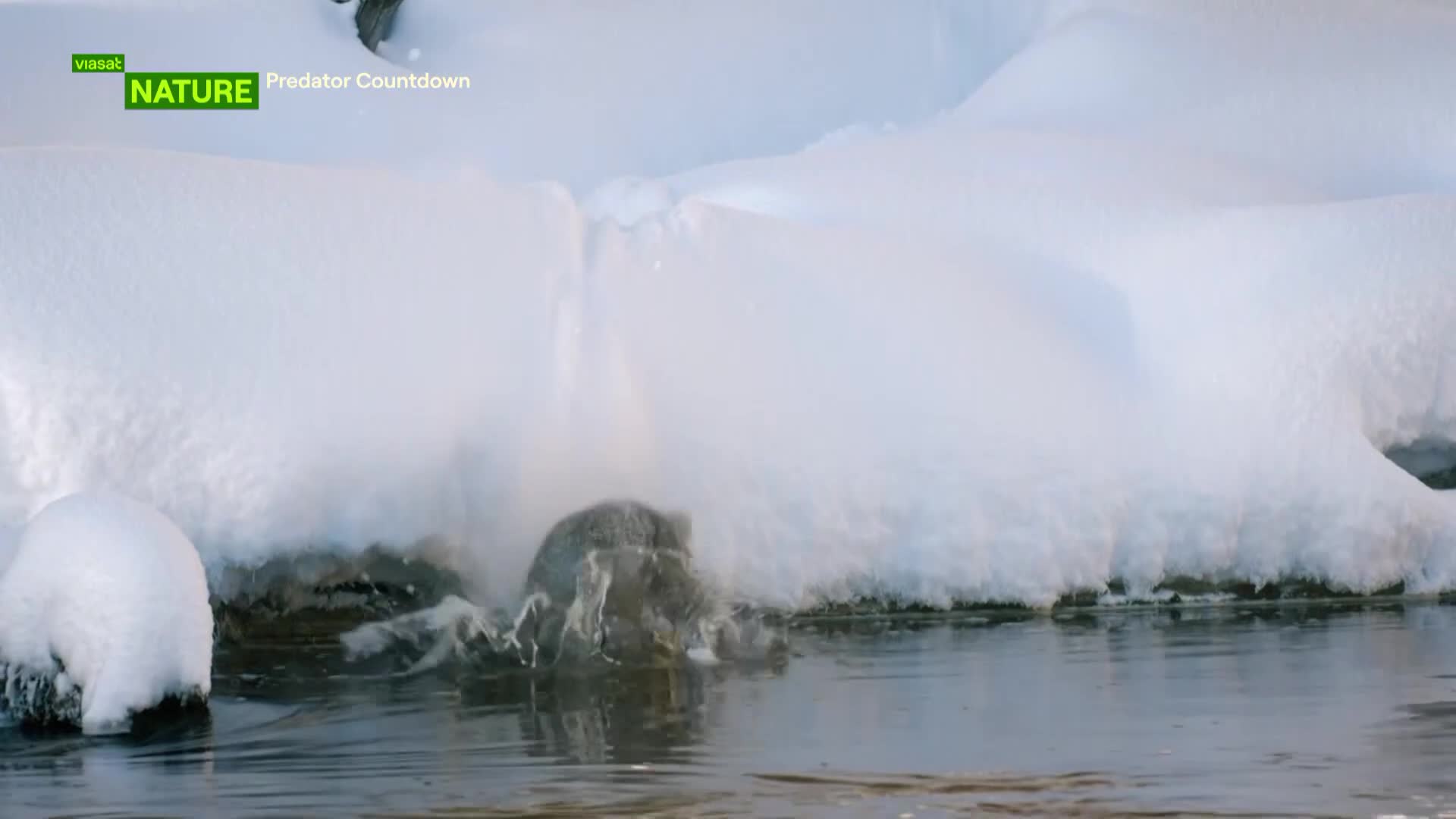 ViasatNature