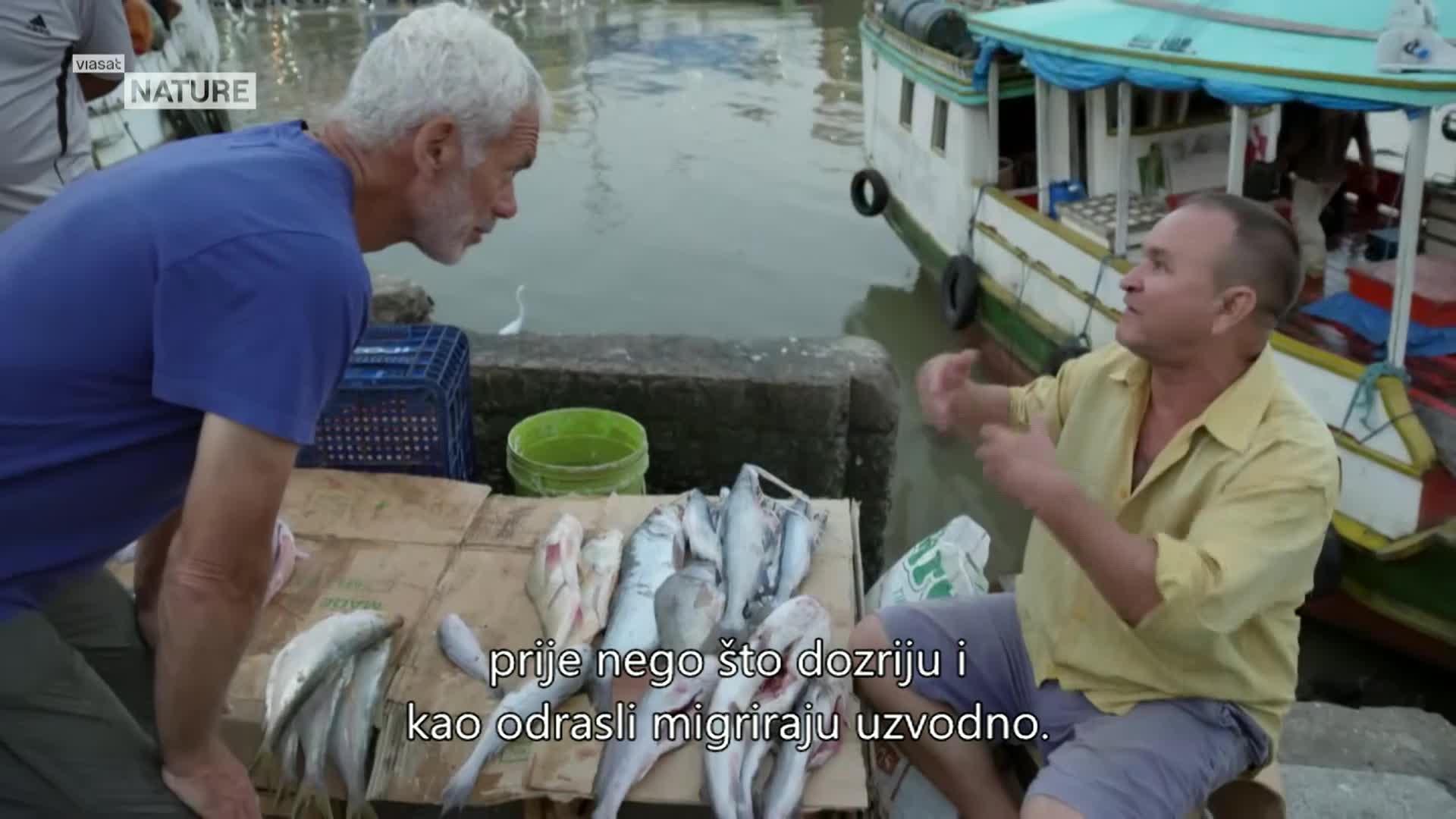 ViasatNature