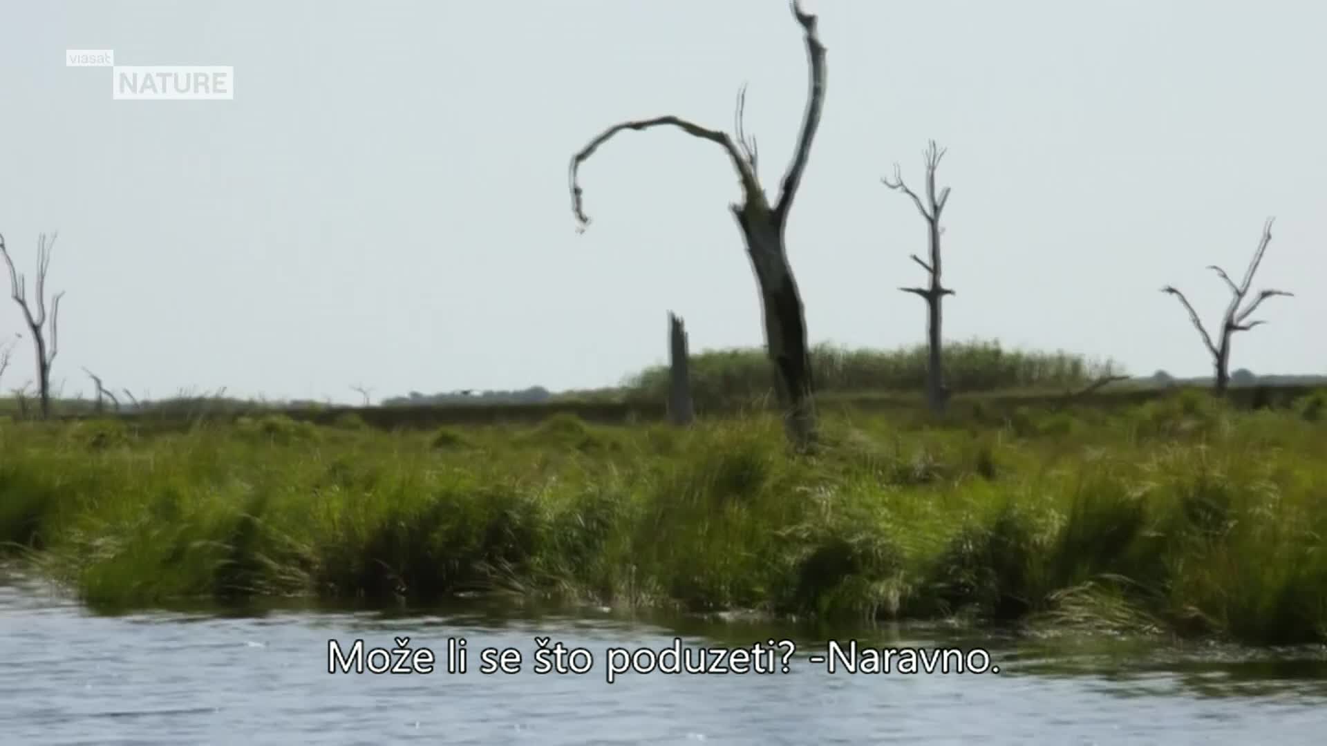 ViasatNature