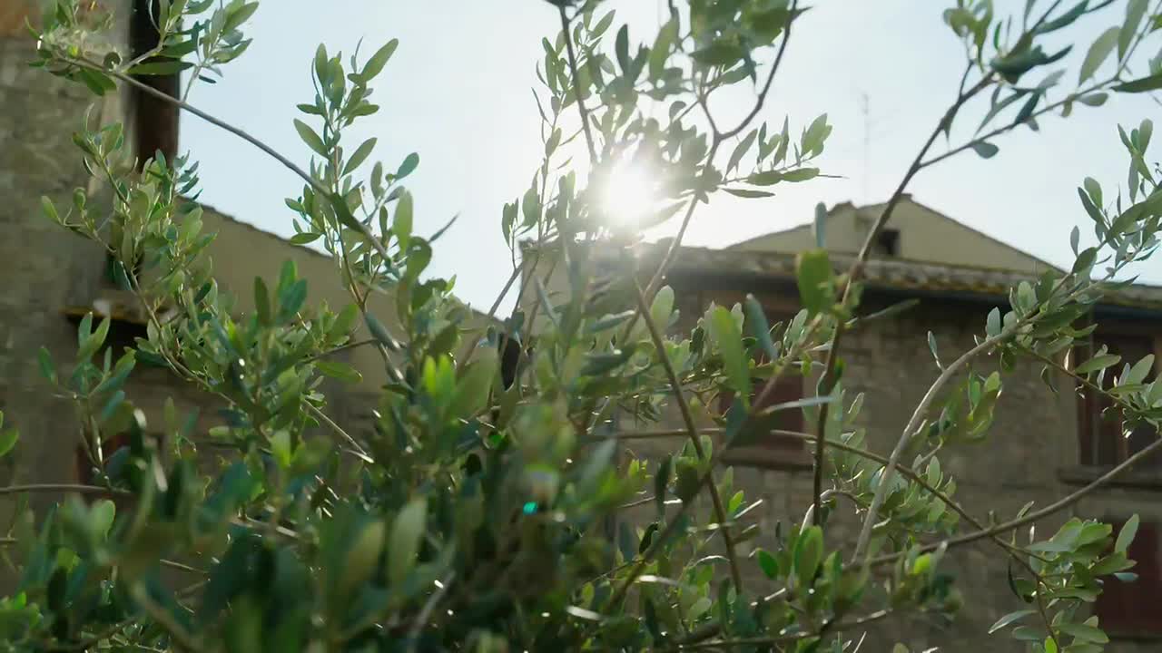 24Kitchen