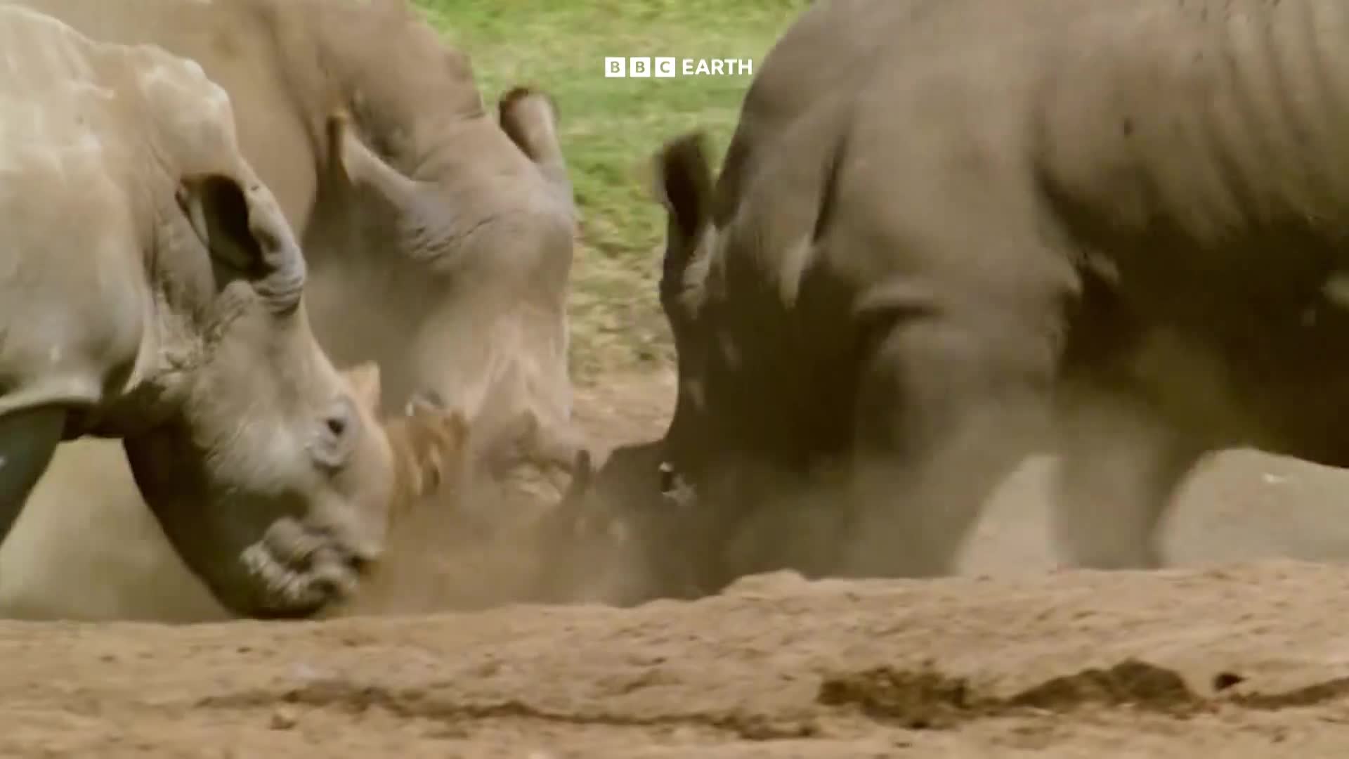 BBCEarth