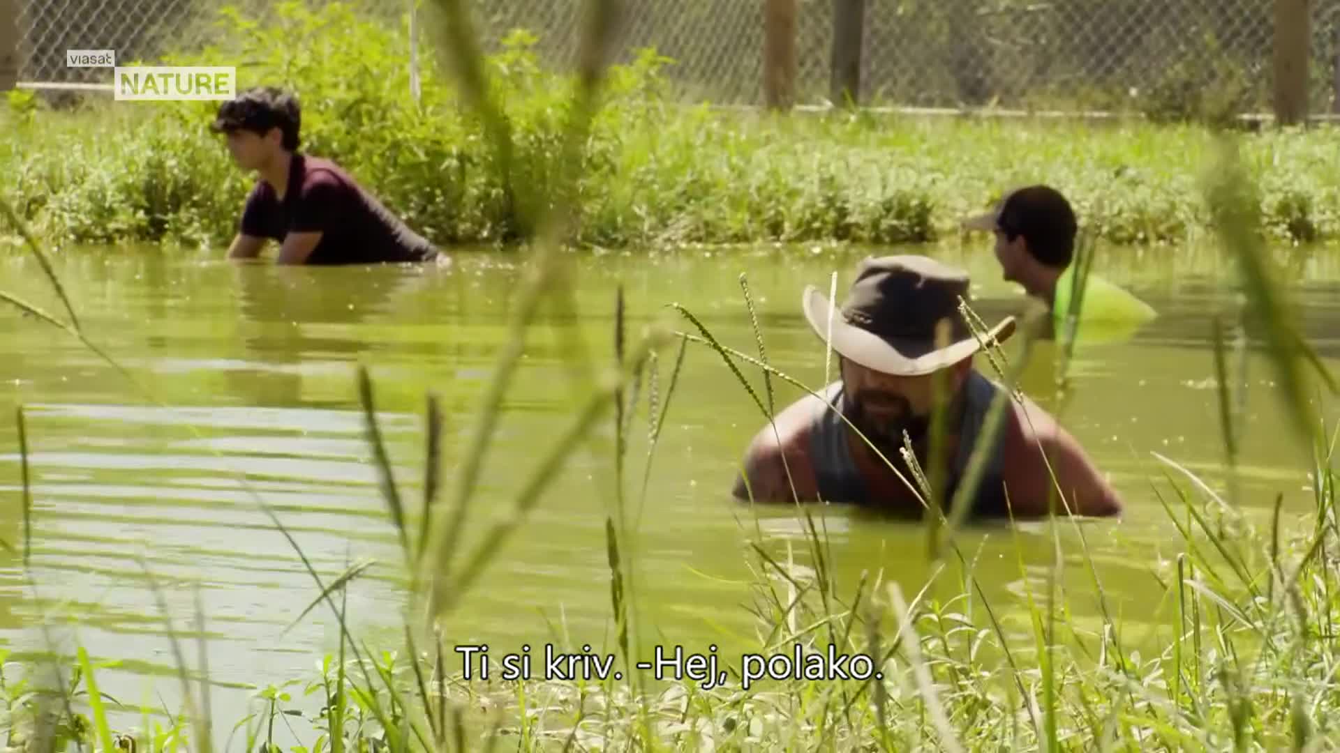ViasatNature