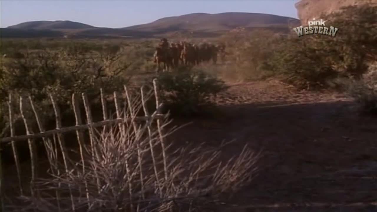 PinkWestern