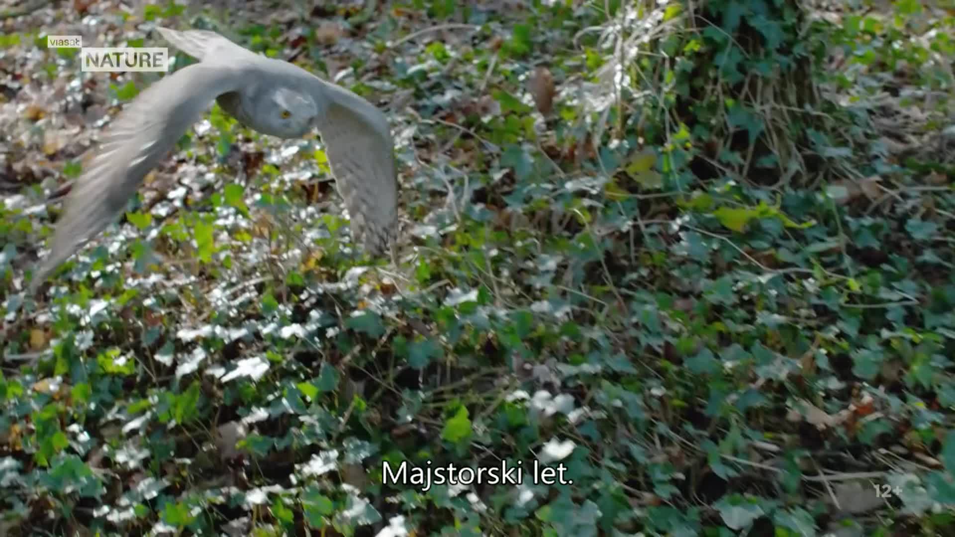 ViasatNature