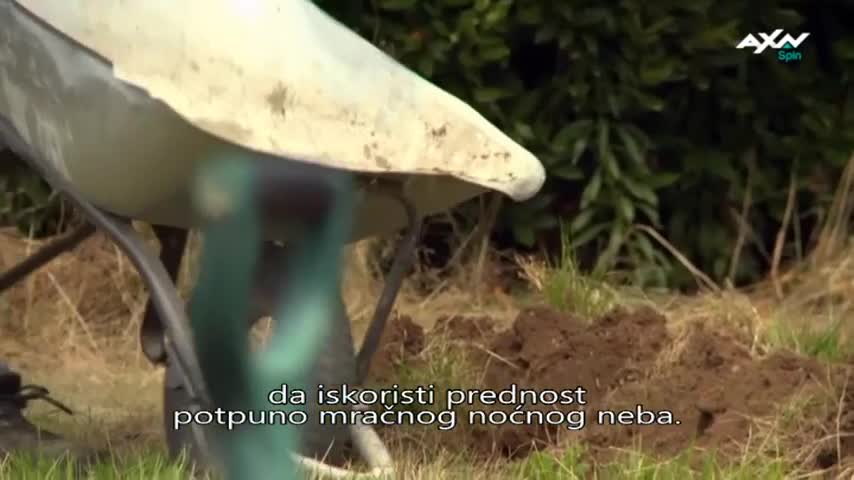 AXNSpin