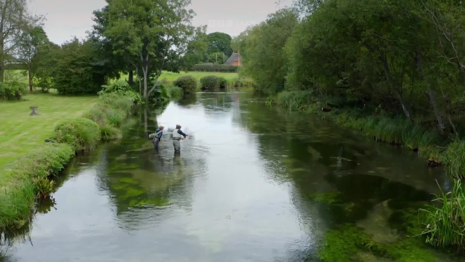 BBCEarth