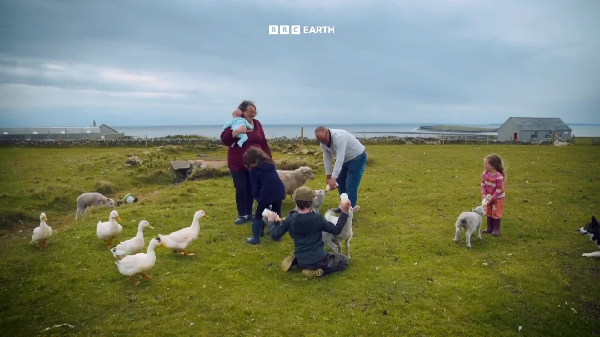 BBCEarth